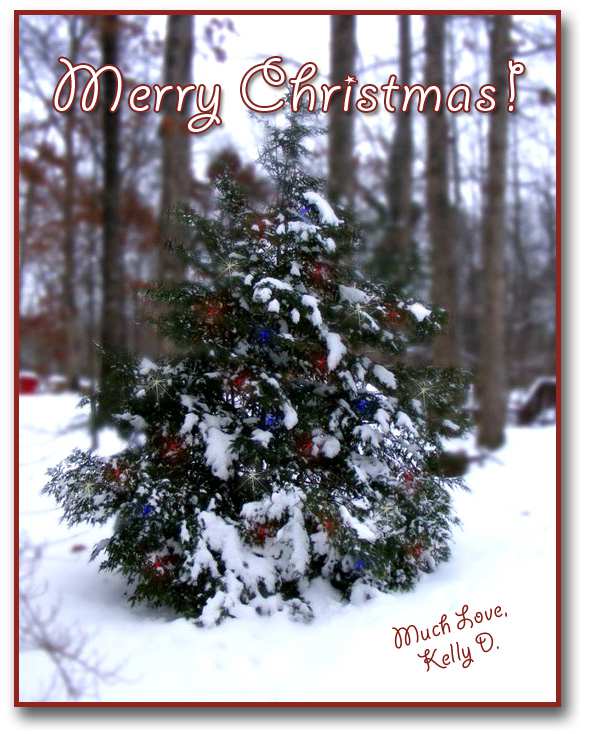 I hope everyone has a very Merry Christmas! Thank you for being such wonderful readers!