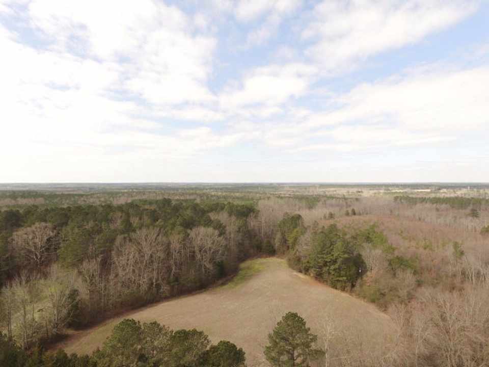 c. 1900 Classical Revival Littleton, NC Old House Dreams