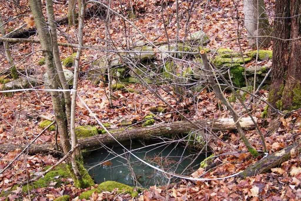 Sharon Springs, NY Old House Dreams