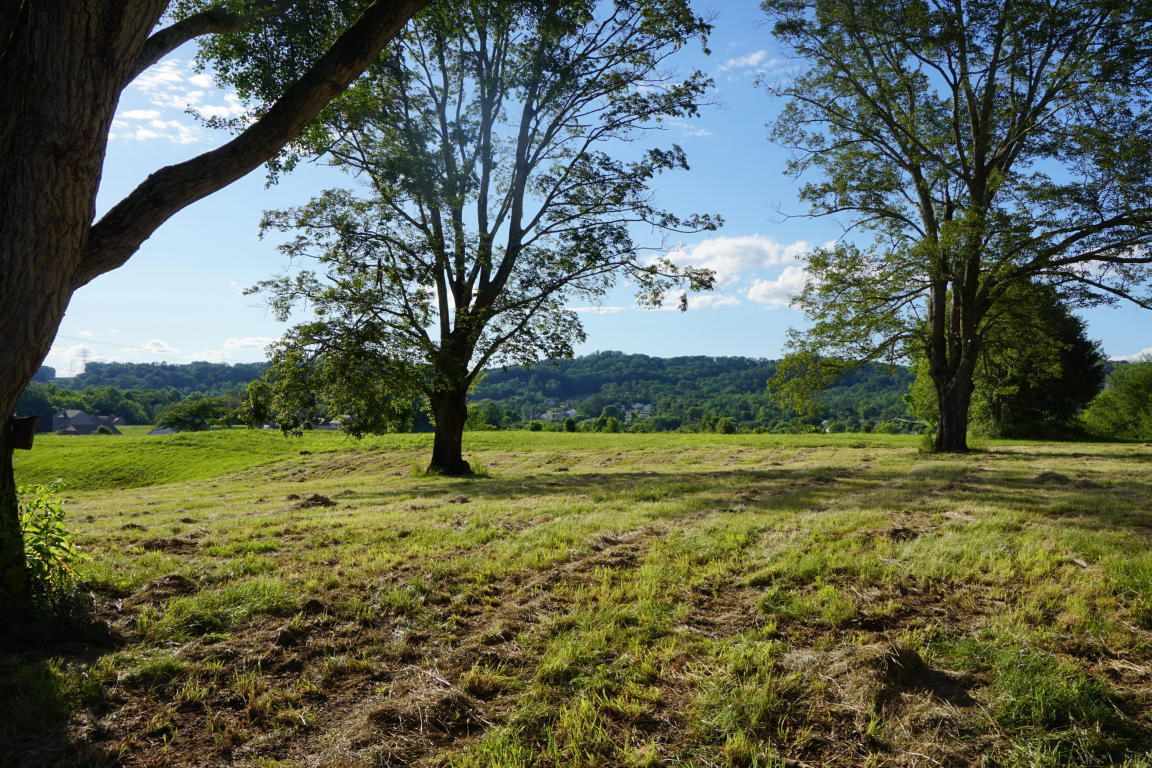 1910 Classical Revival Knoxville, TN Old House Dreams
