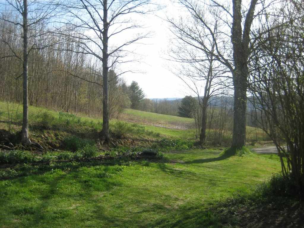 1888 South New Berlin, NY Old House Dreams