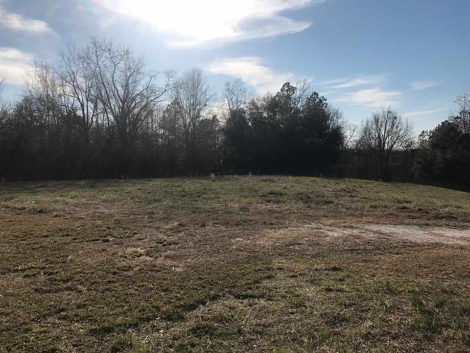 1843 Liberty Hill, SC Old House Dreams