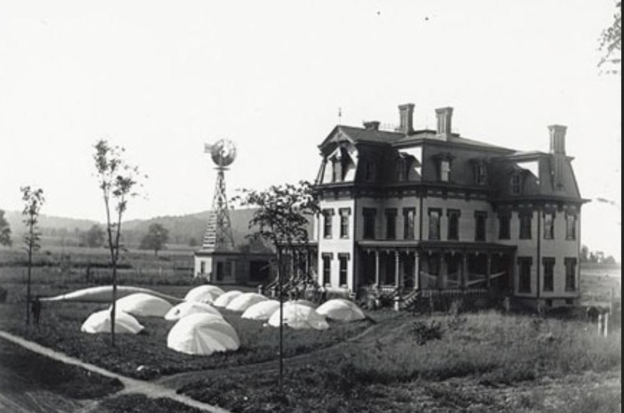 1863 Second Empire Frankfort, NY Old House Dreams