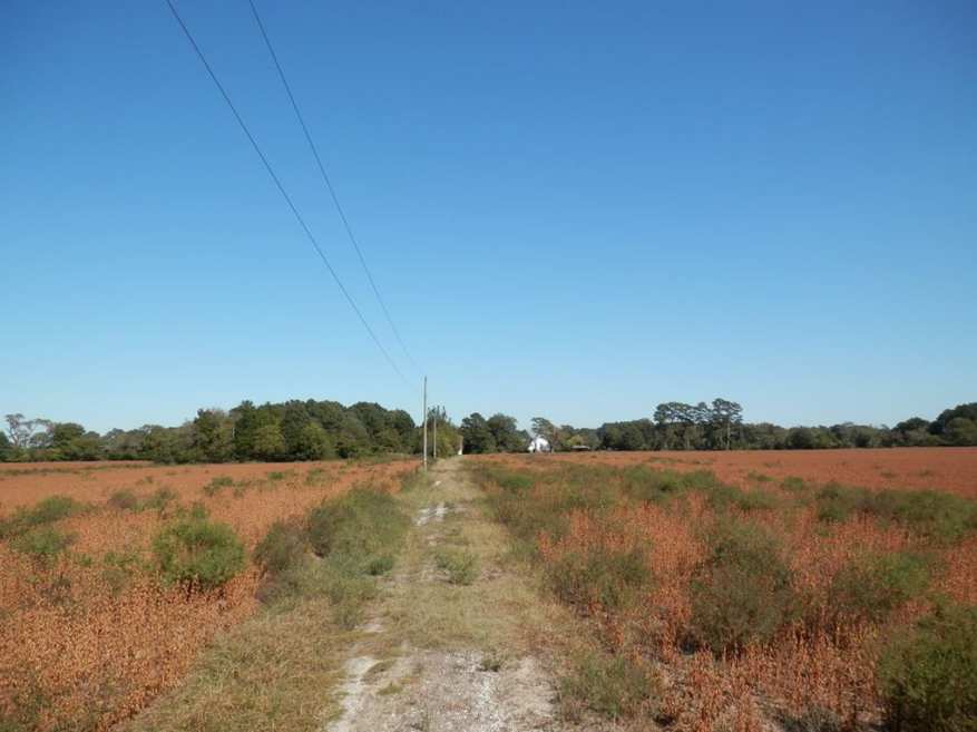 Painter, VA Old House Dreams