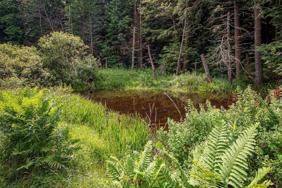 1920 Colonial Revival in Wilmington, VT Old House Dreams