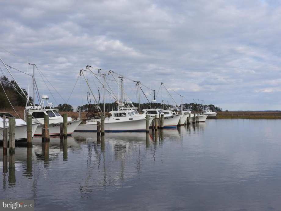 Vienna, MD Old House Dreams