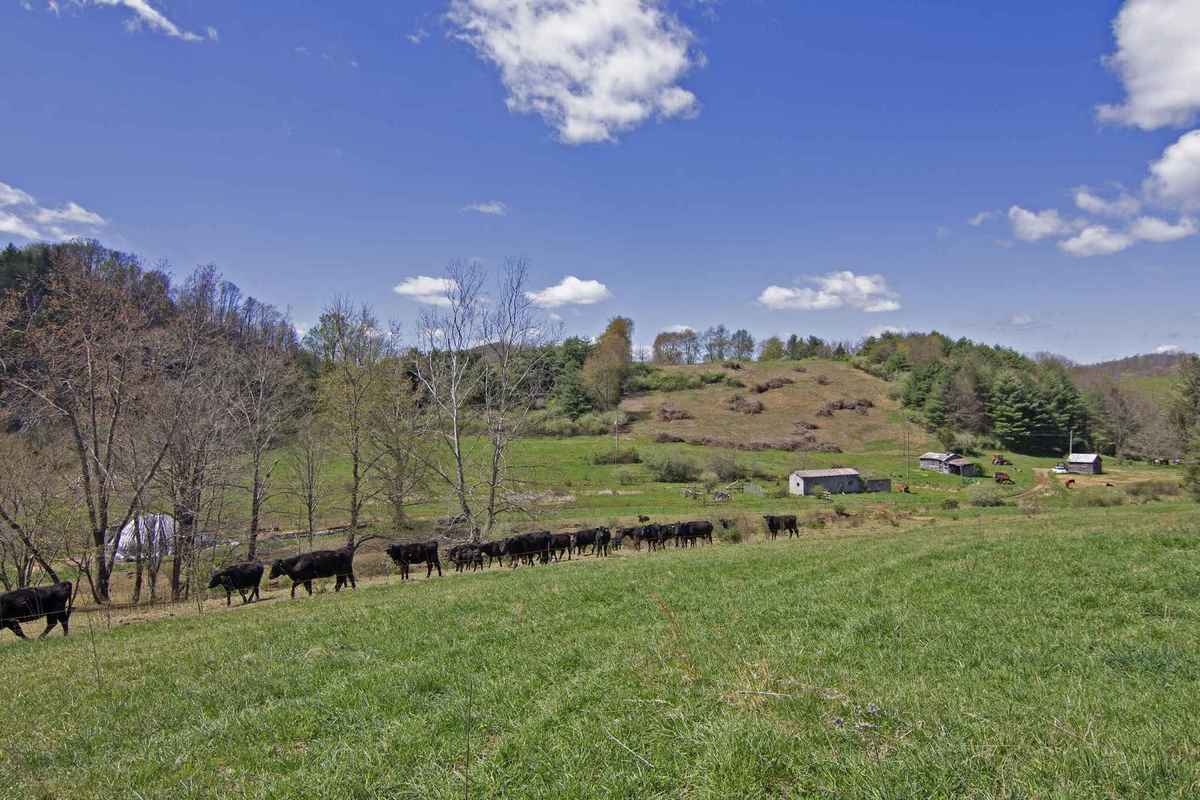 Lindside, WV Old House Dreams