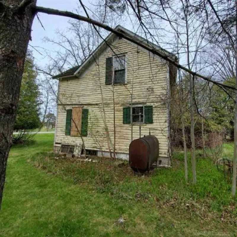 Forestville, MI Old House Dreams